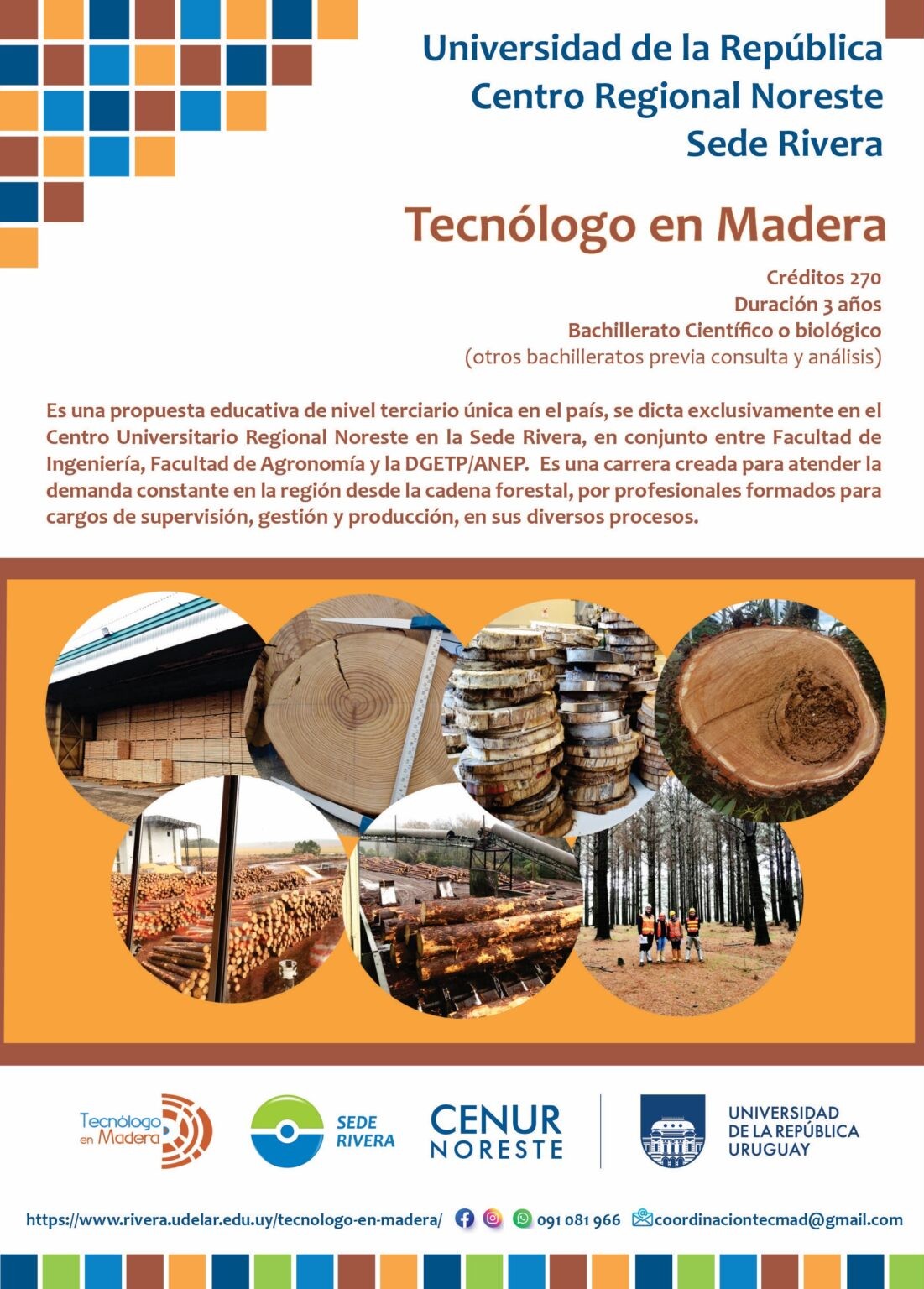 4.Tec-mad-1-1109x1536