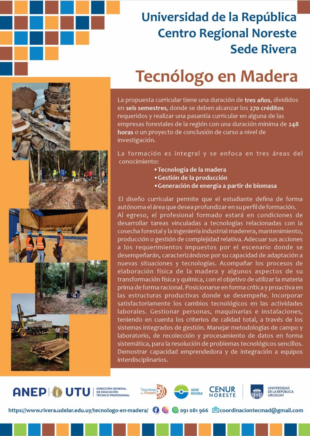 4.Tec-mad-2-1088x1536